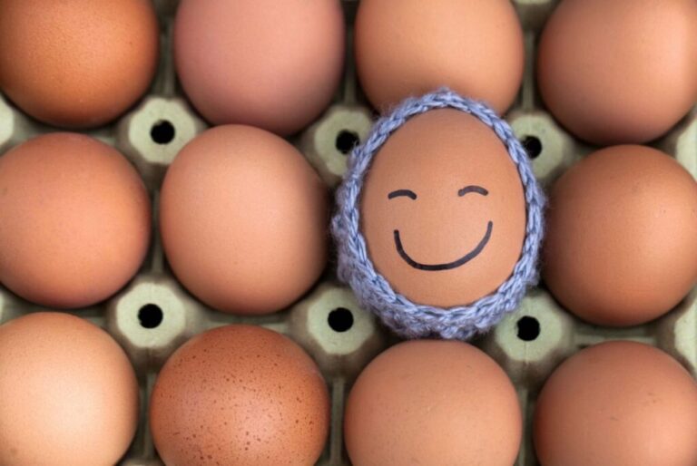 สุขภาพดีขึ้นได้ด้วยไข่เพียง 3 ฟอง