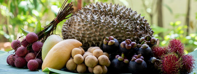 ร้อนนี้ต้องเลี่ยง! “ผลไม้ฤทธิ์ร้อน” กินมากเสี่ยงฮีทสโตรกไม่รู้ตัว